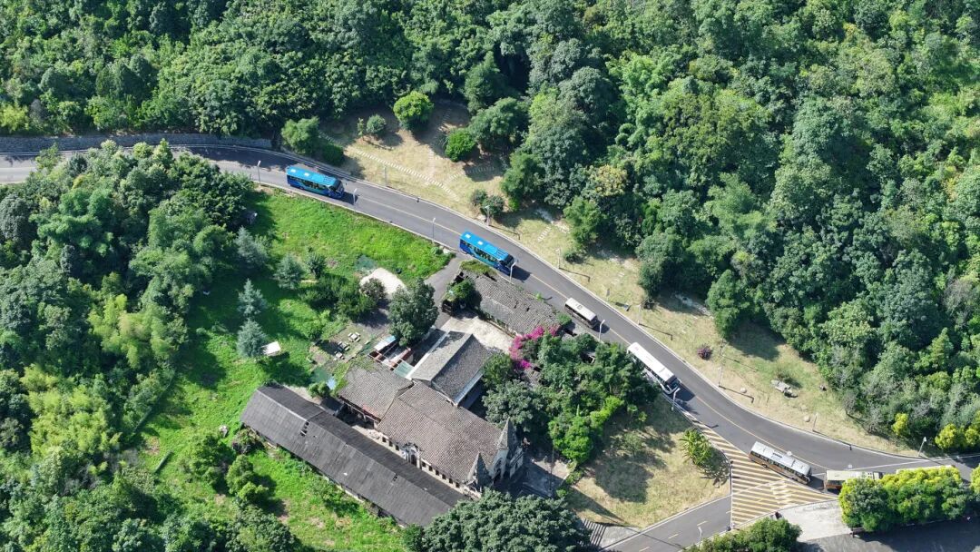 黄果树车流秩序井然 陈婷 摄-FZ10021348519.jpg