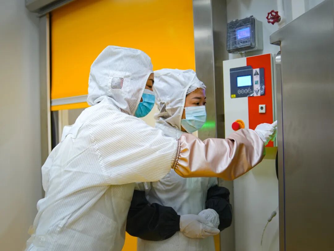 一只鹅“牵”出的产业链 平坝灰鹅“飞”向-FZ10021369450.jpg