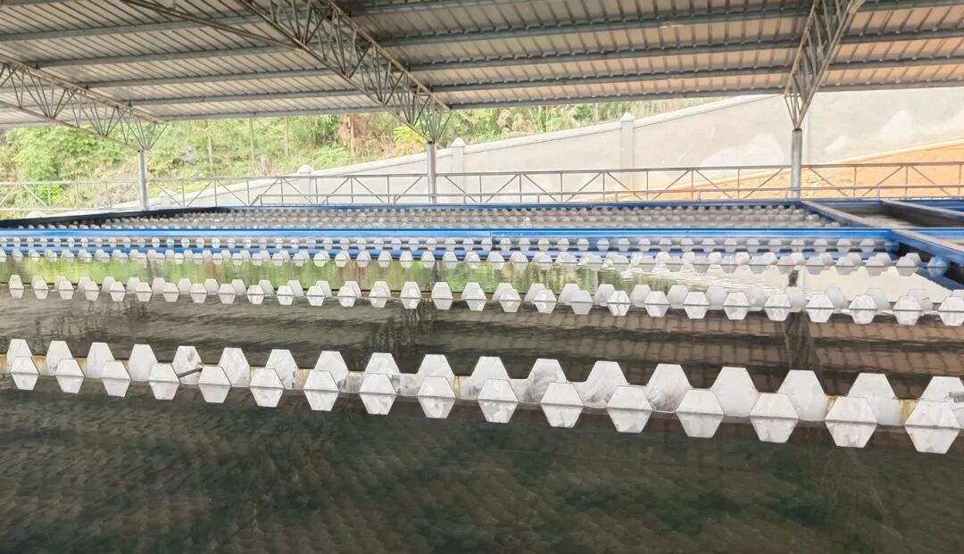 新建的猫营水厂一体化水处理.jpg