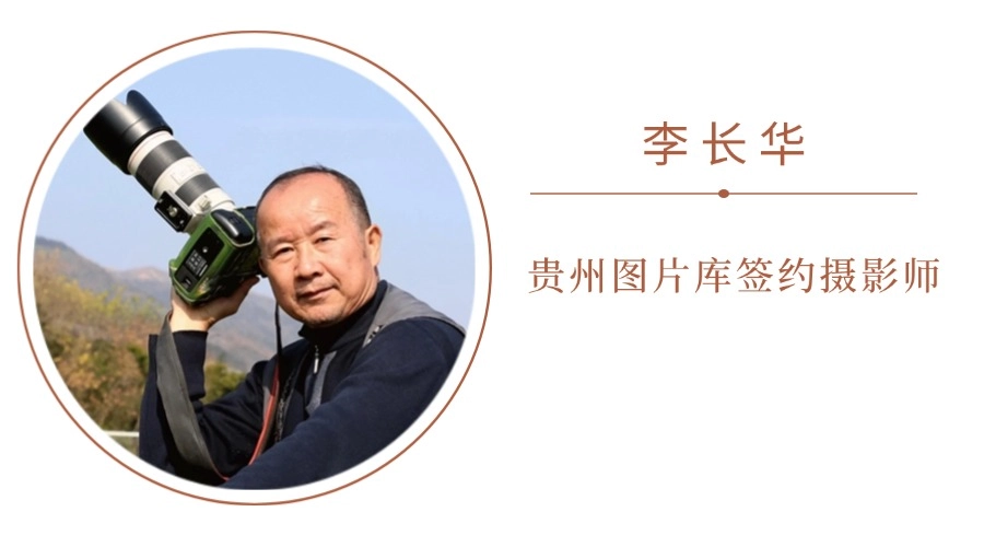 dD0xNzYzNjg2NjQ4X3I9Y2JhYzlhMDJfdz05MDBfcT0xMDBfZT1qcGc=.webp 名片 (4).jpg