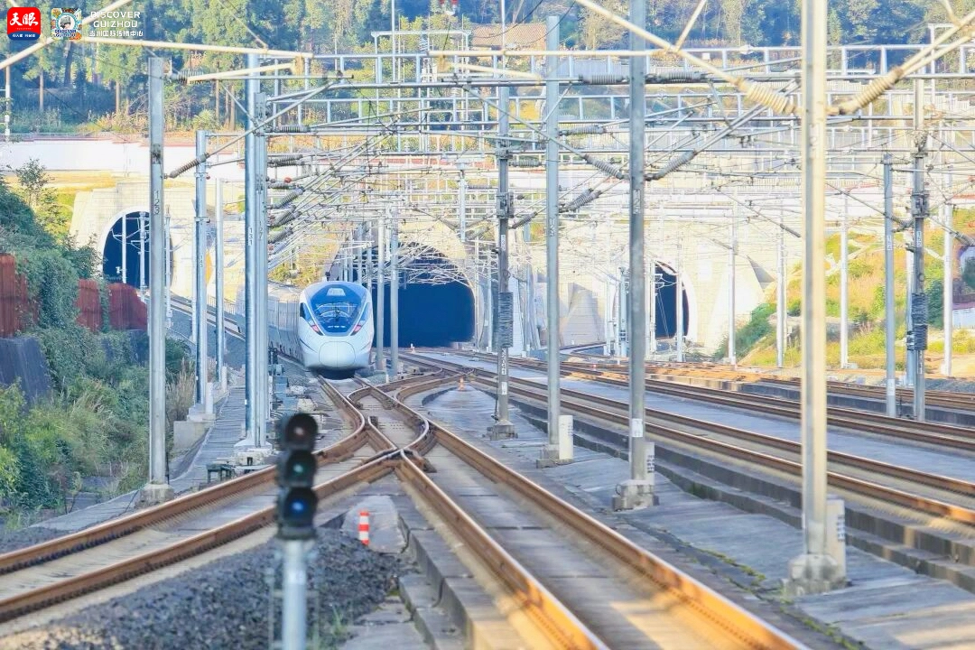 17647785549075.JPG IMG_5151.JPG