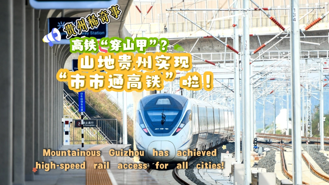 17647784809241.jpg WechatIMG7087.jpg