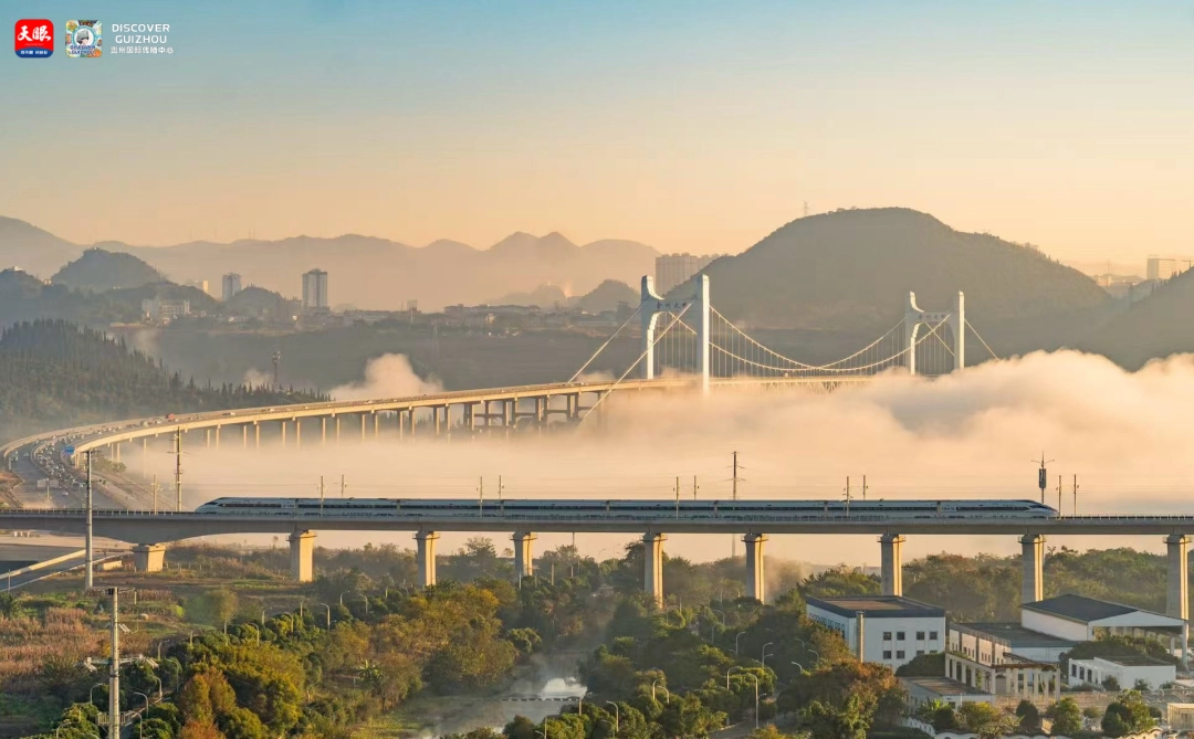 17647794256535.JPG IMG_5315.JPG