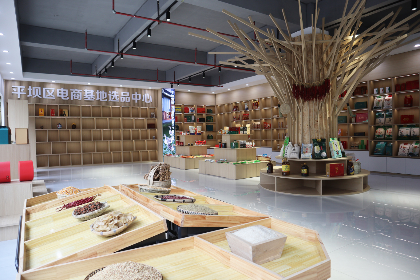 直播“新农具” 撬动产业“云”升级-FZ10021441607.JPG