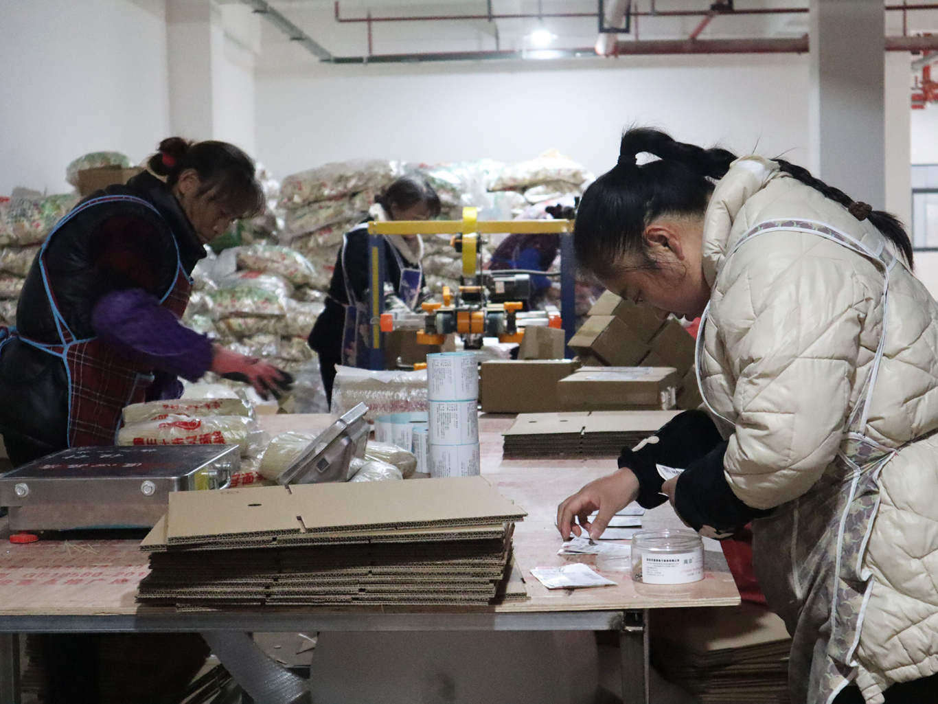 直播“新农具” 撬动产业“云”升级-FZ10021441612.JPG