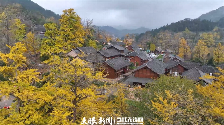 dD0xNzY1MzM4NDM3X3I9ZTA0Y2ZlMGRfdz03MjBfcT0xMDBfZT1wbmc=.webp 54.png