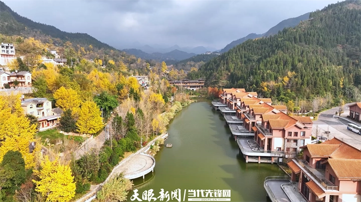 dD0xNzY1MzM4NDg1X3I9M2EwMjM3ZDJfdz03MjBfcT0xMDBfZT1wbmc=.webp 51.png