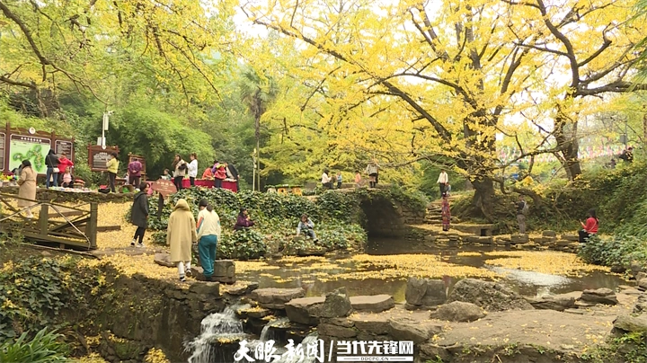 dD0xNzY1MzM4NDUyX3I9ODcxOWYxM2Jfdz03MjBfcT0xMDBfZT1wbmc=.webp 53.png