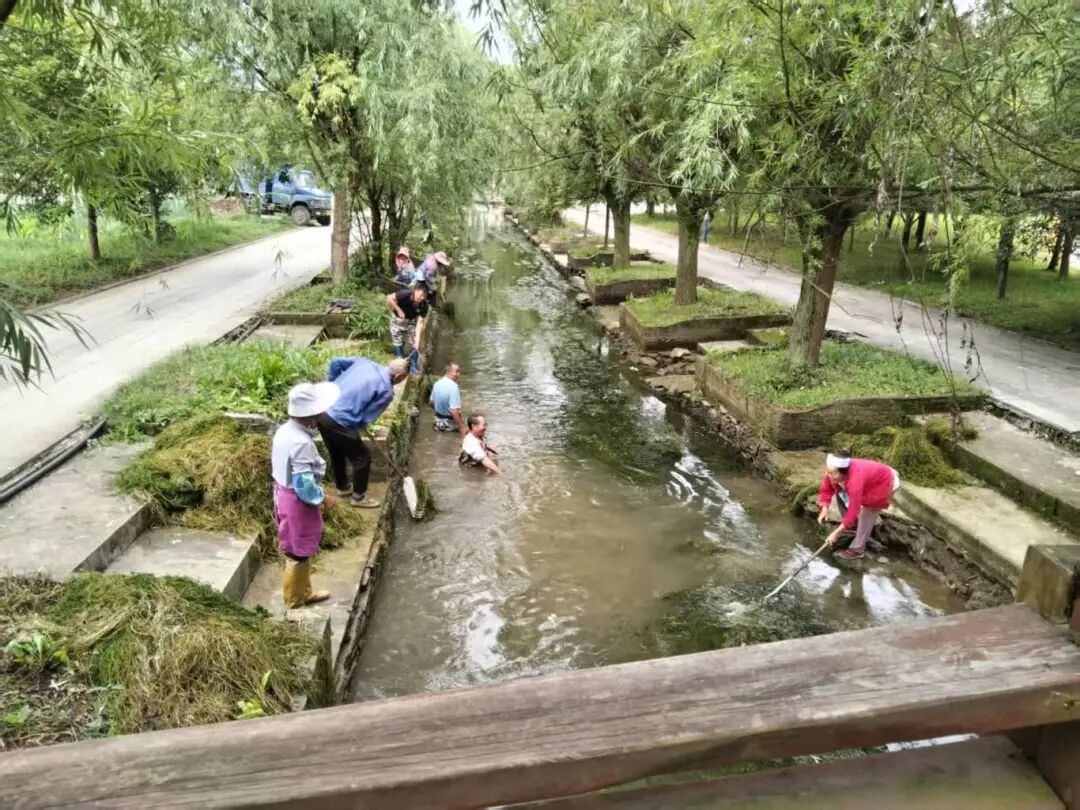 把士村开展河道整治-FZ10021495263.jpg