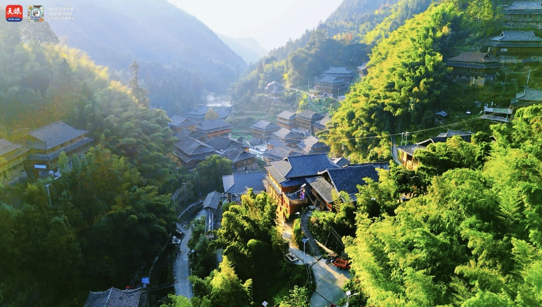 17682304117796.jpg IMG_6207.jpg