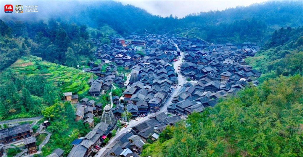 17682307288426.JPG IMG_8630.JPG