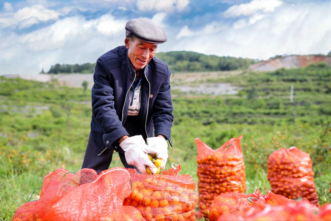 dD0xNzczMDQ0MDc3X3I9MDJjNzhhNThfdz0xMDgwX3E9MTAwX2U9cG5n.webp 57a5b60b0deeaa28a9f5ea3a939de144.png