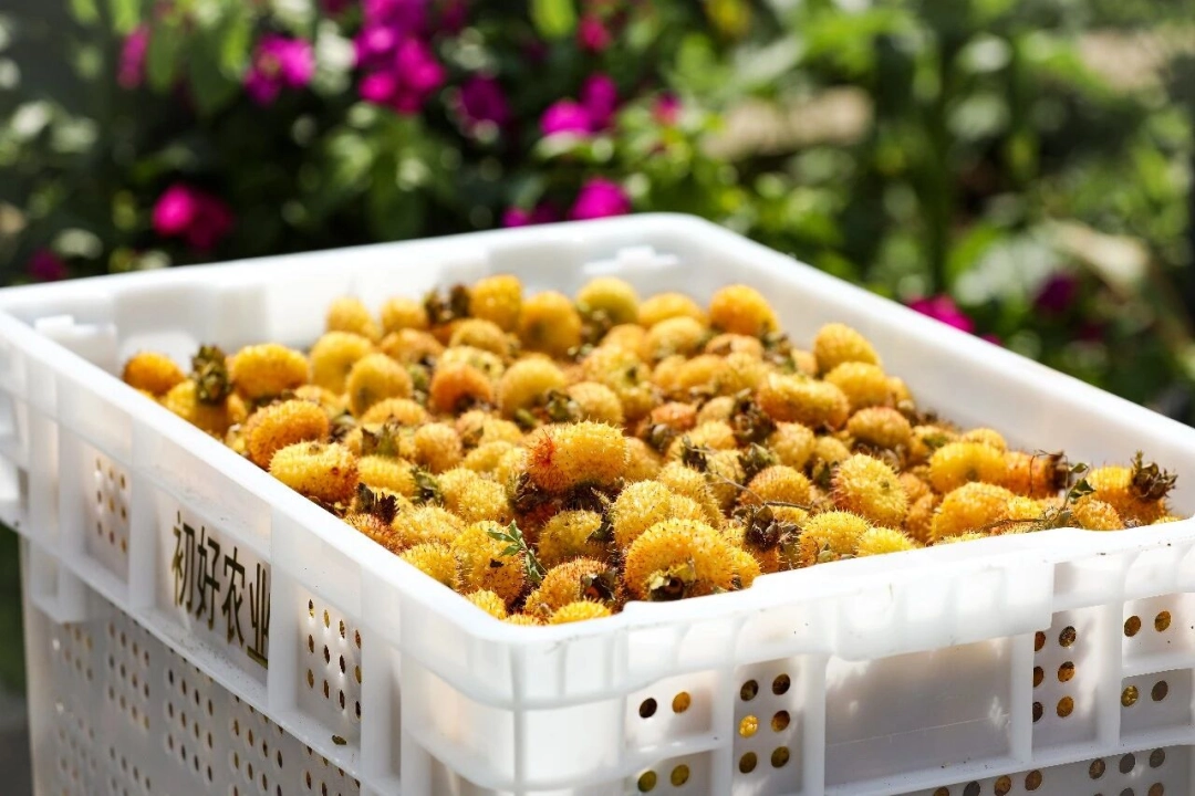 dD0xNzczMDQ0MDM1X3I9YjE2MTk4ZTFfdz0xMDgwX3E9MTAwX2U9anBlZw==.webp 67fb7062b5619d7e502366ab912bf62e.jpeg