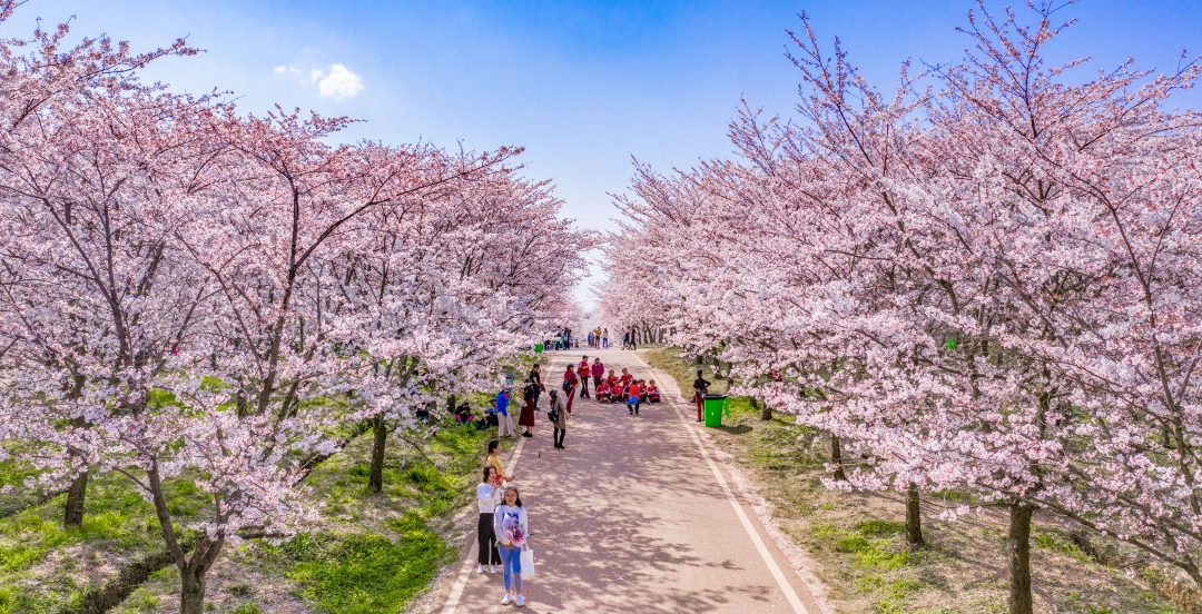 17743260004783.jpg 微信图片_20260324121647_1246_275.jpg