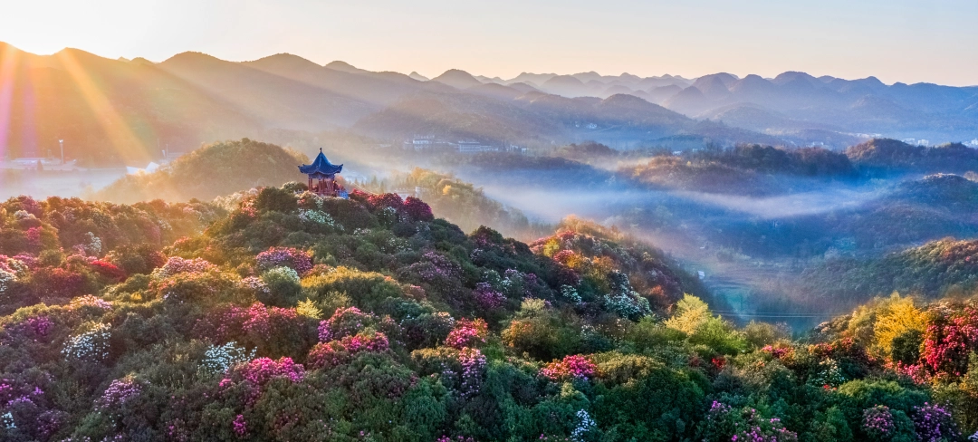 dD0xNzc0MzI3NjAzX3I9MGM2ODg2YWVfdz0xMDgwX3E9MTAwX2U9anBn.webp 微信图片_20260324121640_1245_275.jpg