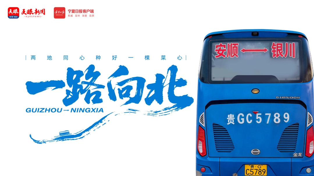 17748742873025.jpg 7.jpg