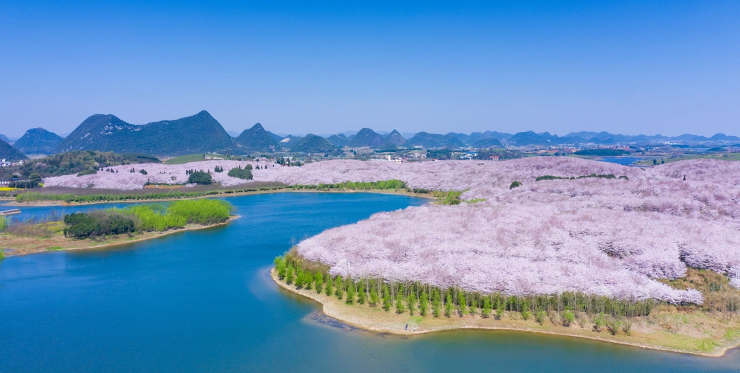 17743259538636.jpg 微信图片_20260324121651_1247_275.jpg