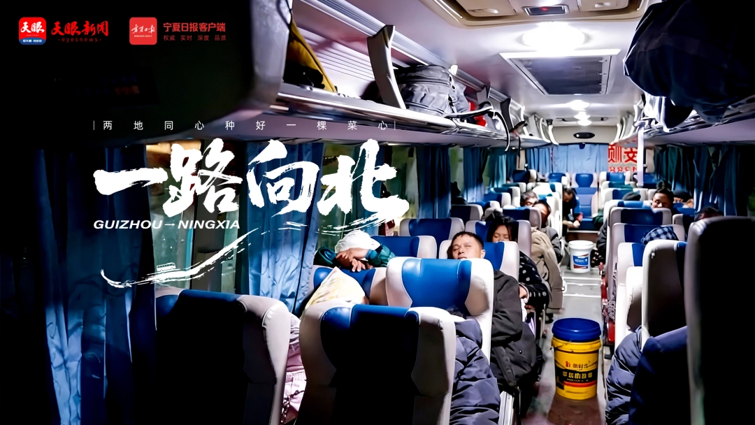 17748743601562.jpg 8.jpg