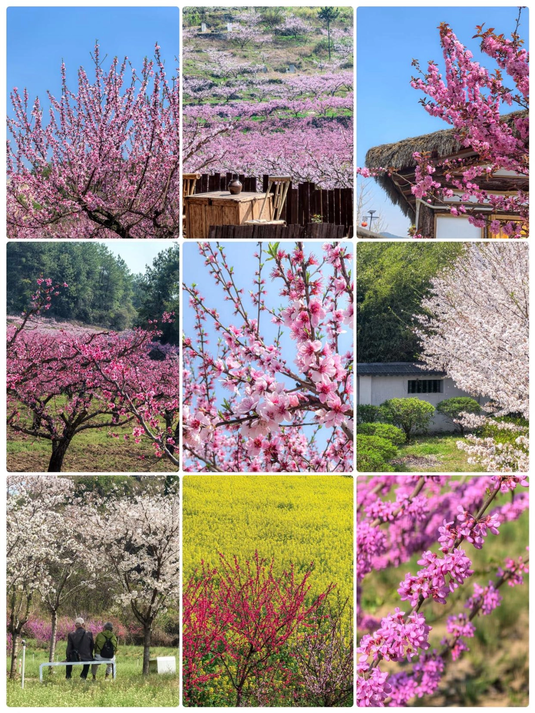 dD0xNzc1MDEzNzM2X3I9YTMxMzQ1ZTJfdz0xMDgwX3E9MTAwX2U9cG5n.webp 603045e7-1977-4abb-b800-74884c311078.png