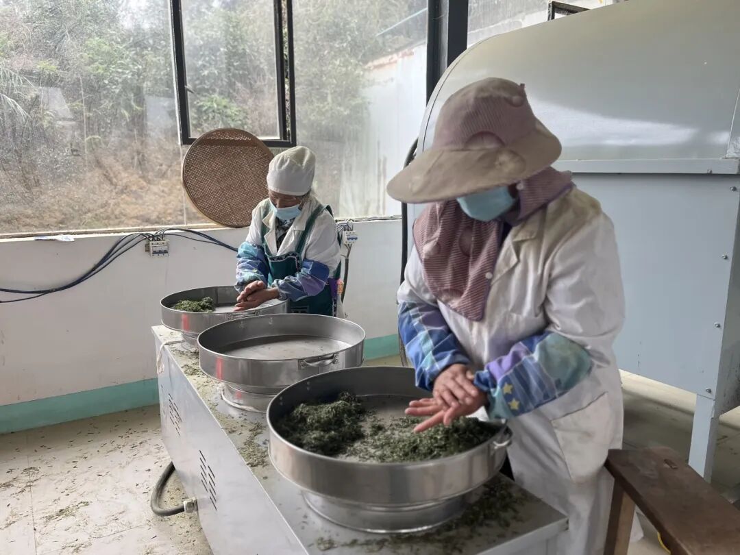 &ldquo;解锁春天&middot;春山观茶&rdquo;系列报道之普定篇_-FZ10021935909.jpg