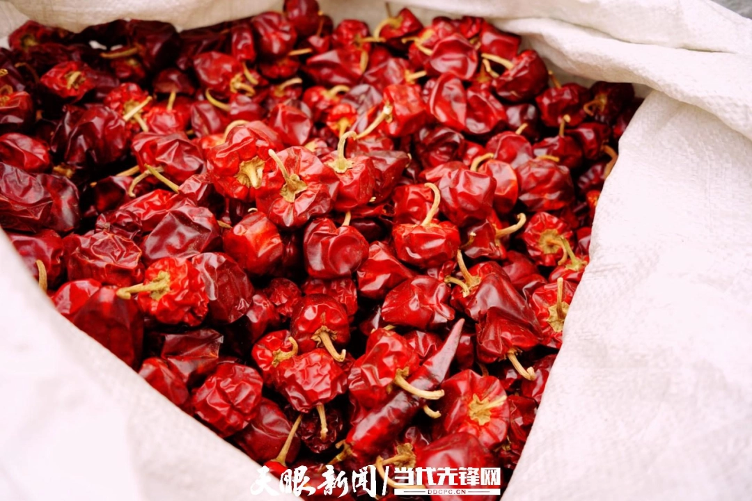 17775379876022.jpg 微信图片_20260430163039.jpg