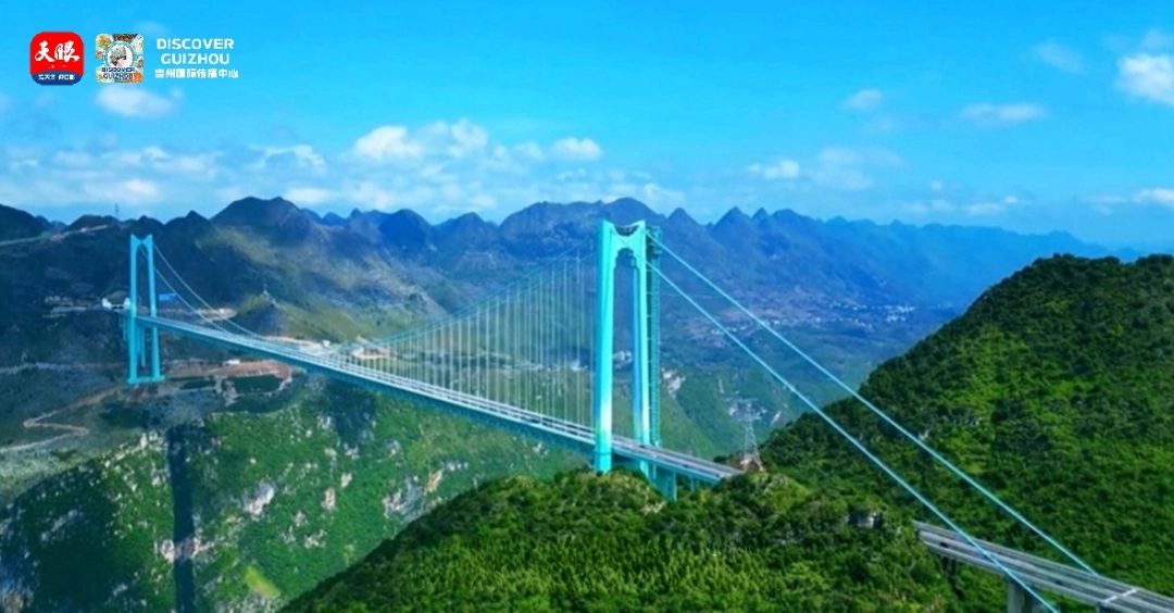 17777131878865.jpg 1d521c18d216010aceac9965d410d22b.jpg