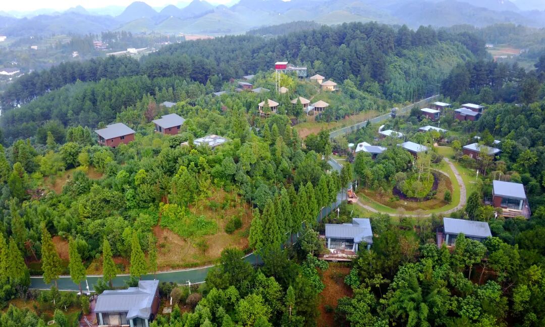 九龙山国家级森林公园借助良好生态发展康养.jpg