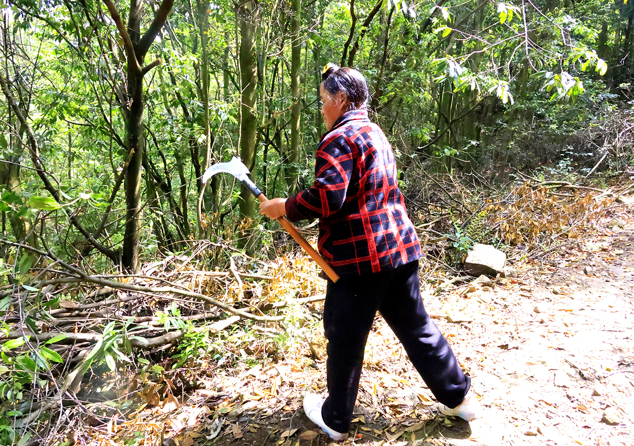 苏廷美日常巡山中.jpg