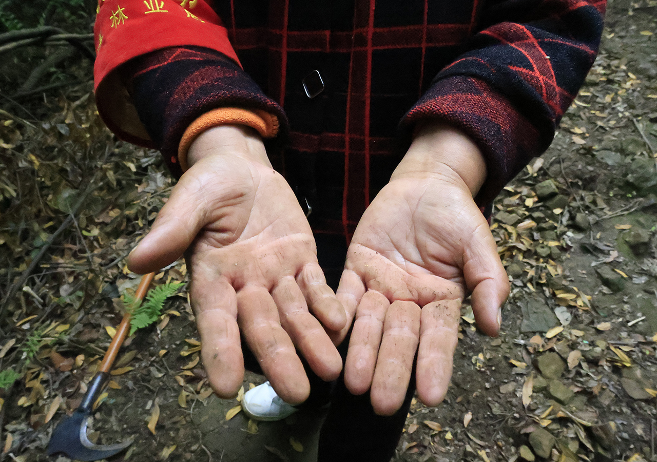 苏廷美常年巡山的粗糙双手.jpg