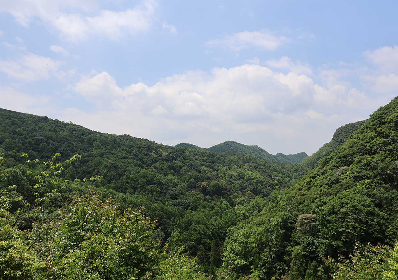 层峦叠翠的火焰山2.JPG