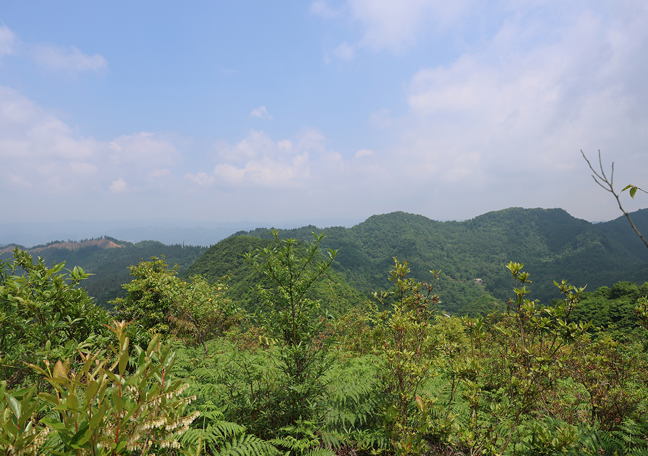 层峦叠翠的火焰山.JPG
