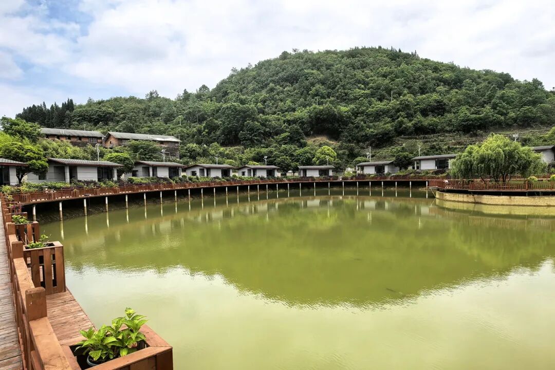 秀水村“秀水清凉苑”民宿-FZ10022094225.jpg